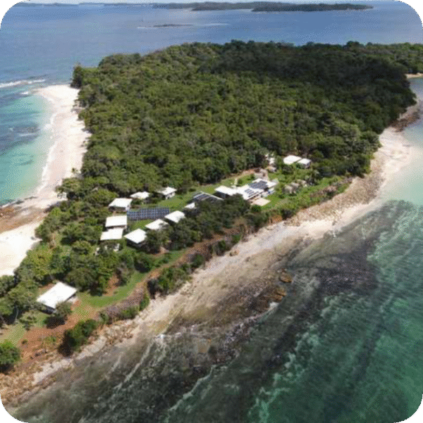 Panamá Ciudad & Safari Marino: islas de Las Perlas y ballenas - Imagen 2