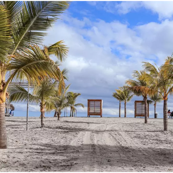 Vista desde la playa en pacífico panameño con hilera de palmeras y camas de playa