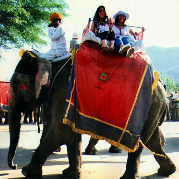 Paseo en elefante en jaipur con dos turistas